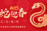 辭舊迎新，蛇舞華章丨深圳容金科技全體員工祝您新春快樂！